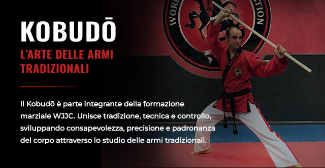 World Ju-Jitsu Corporation Italia wjjc italia
